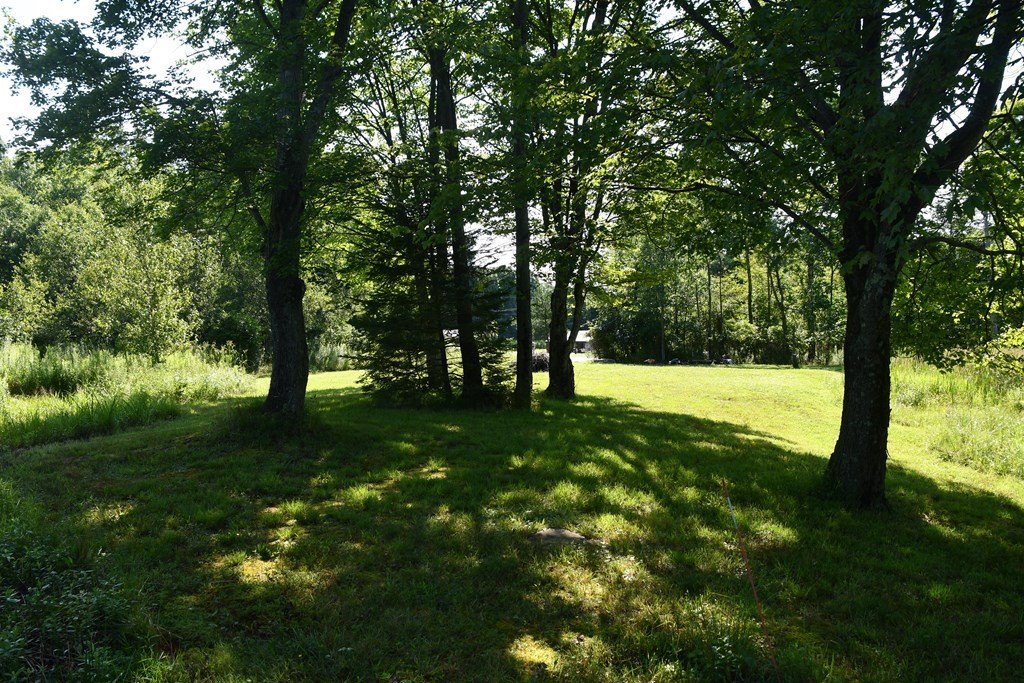 Picture 17