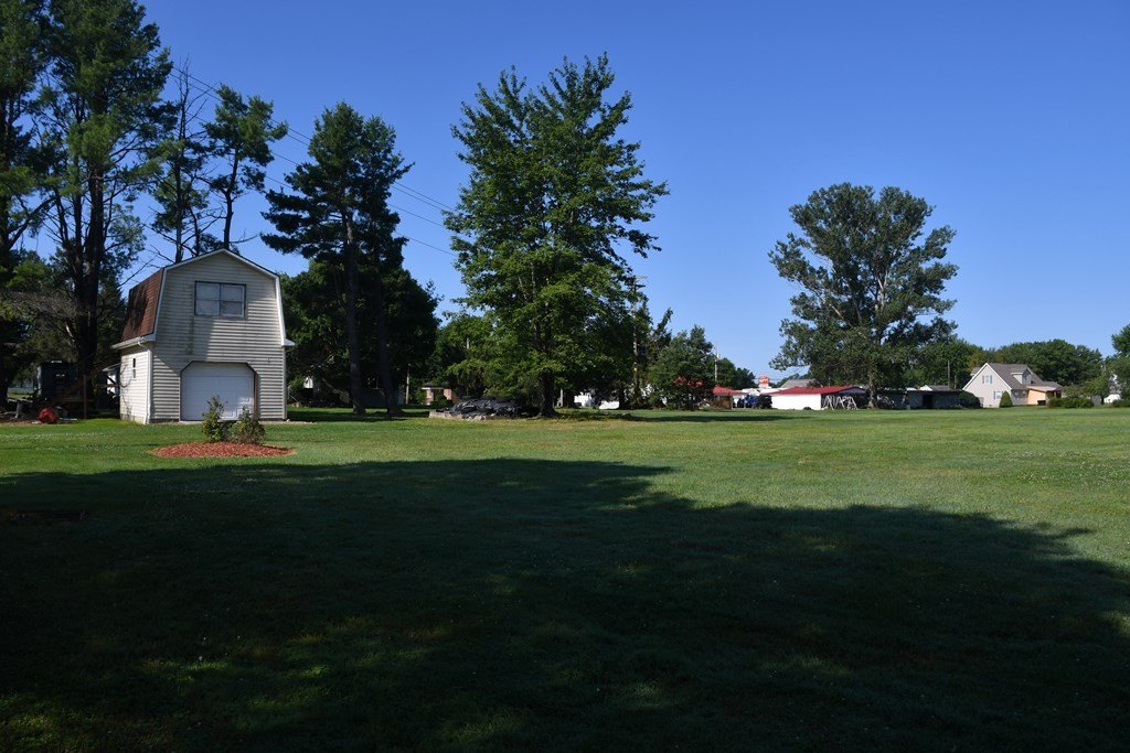 Picture 6