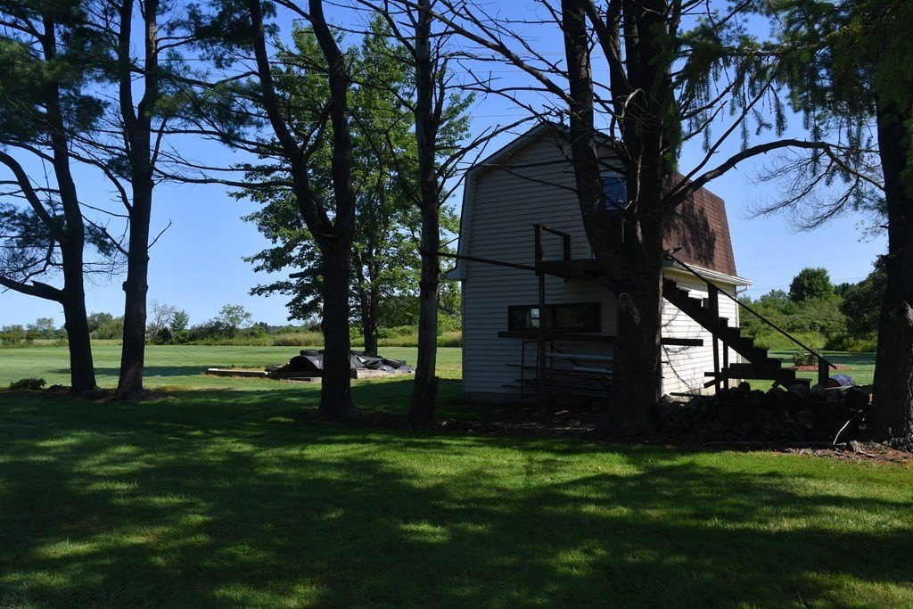 Picture 11