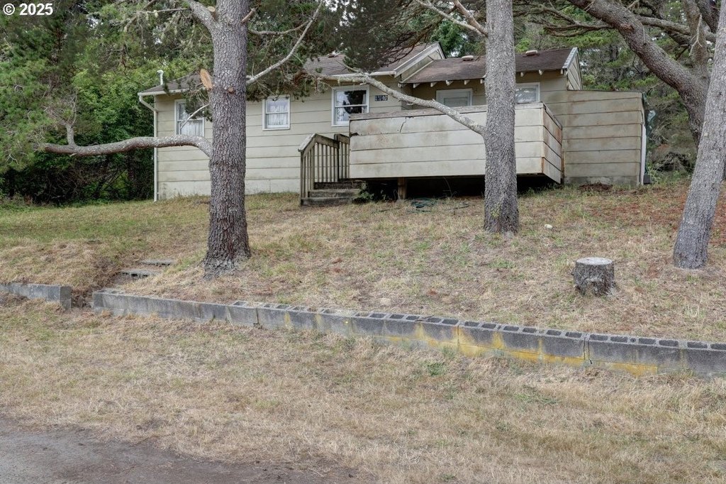 Picture 4