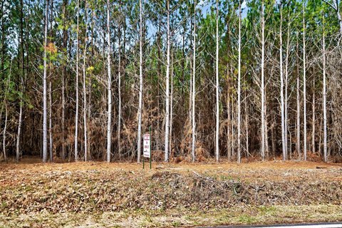 Wooded Gently Rolling Acreage Tract