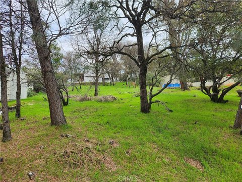 Residential Building Lot