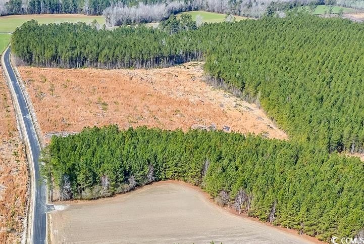 Acreage on Paved Road