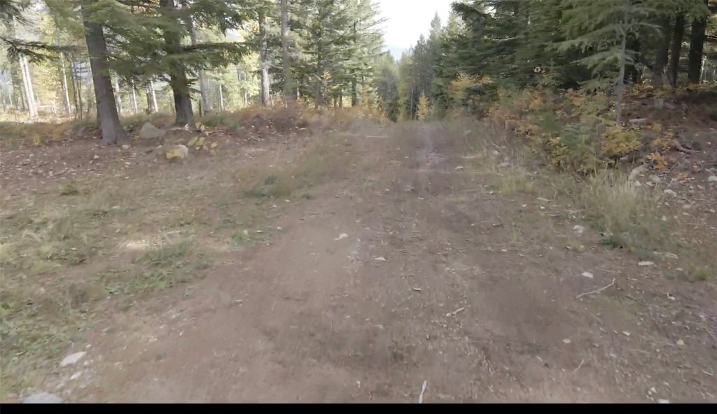 Picture 15