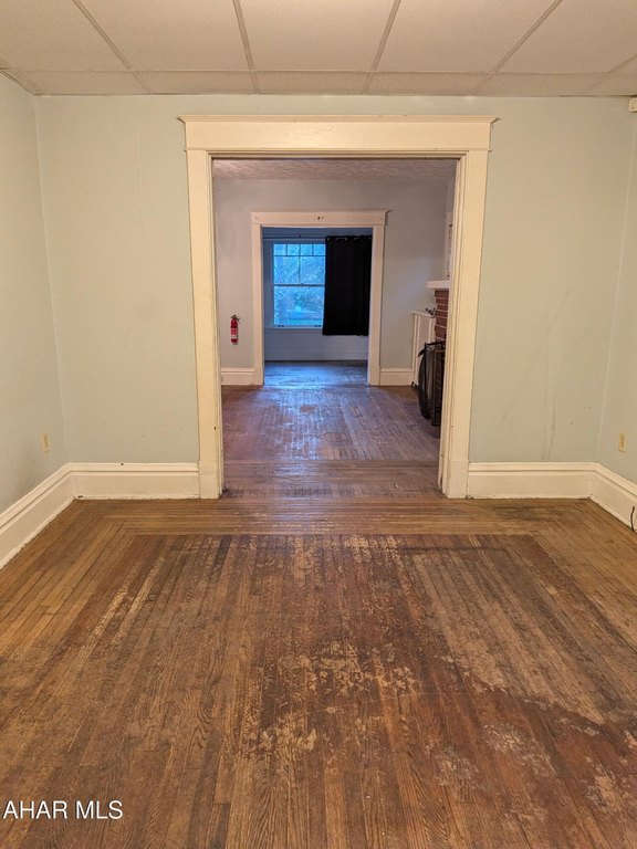 Picture 5