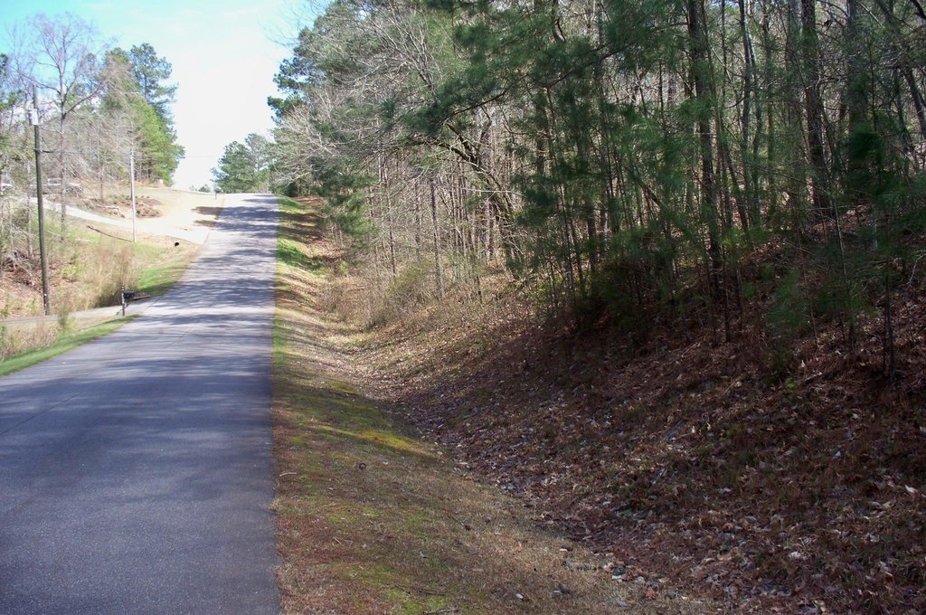Picture 4