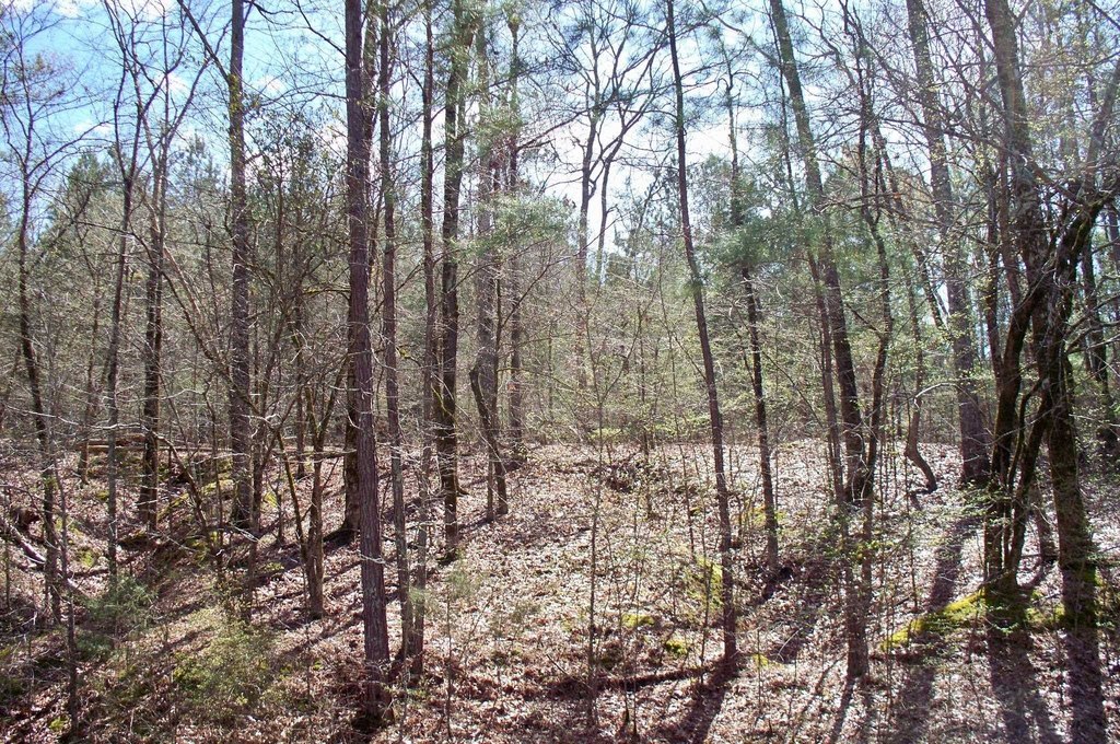 Picture 5