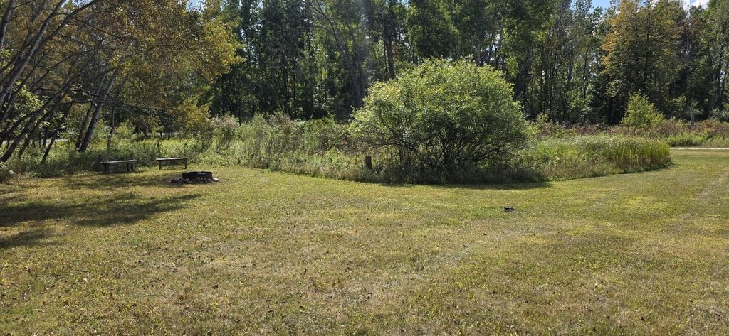 Picture 9