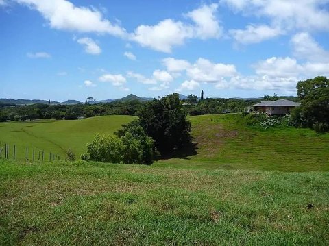 Subdivided Flag Lot Estate Land