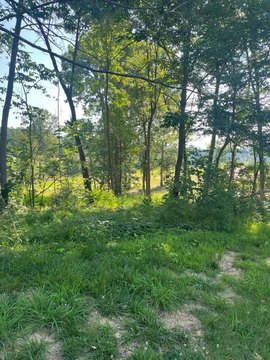 LAND - Paducah, KY