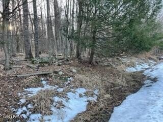 Picture 4