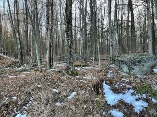 Picture 2