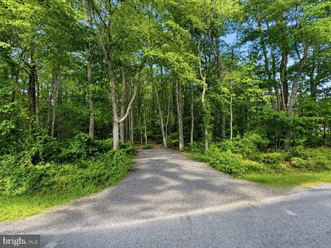 4.37 Acres Wooded Land