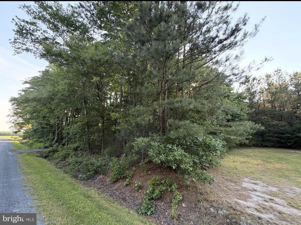 Picture 20