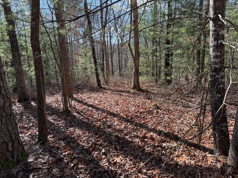 Land Overlooking Persimmon Creek