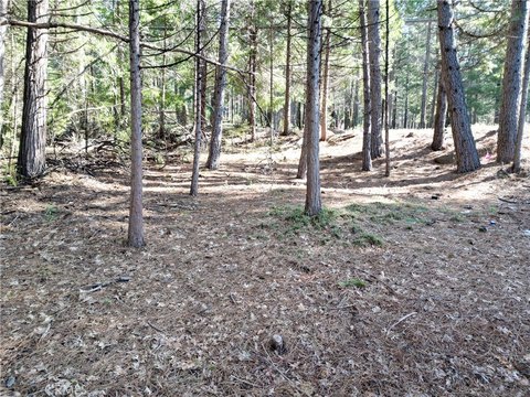Residential Land in Magalia, CA