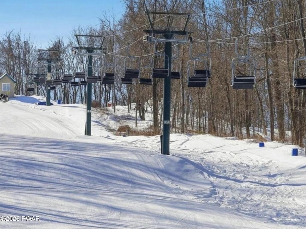 Picture 8