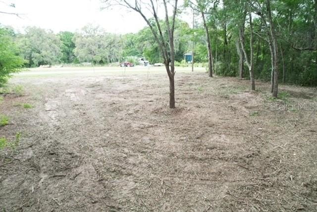 Picture 4