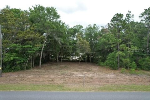 LAND - DUNNELLON, FL
