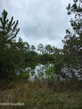 Land, Folkston, GA