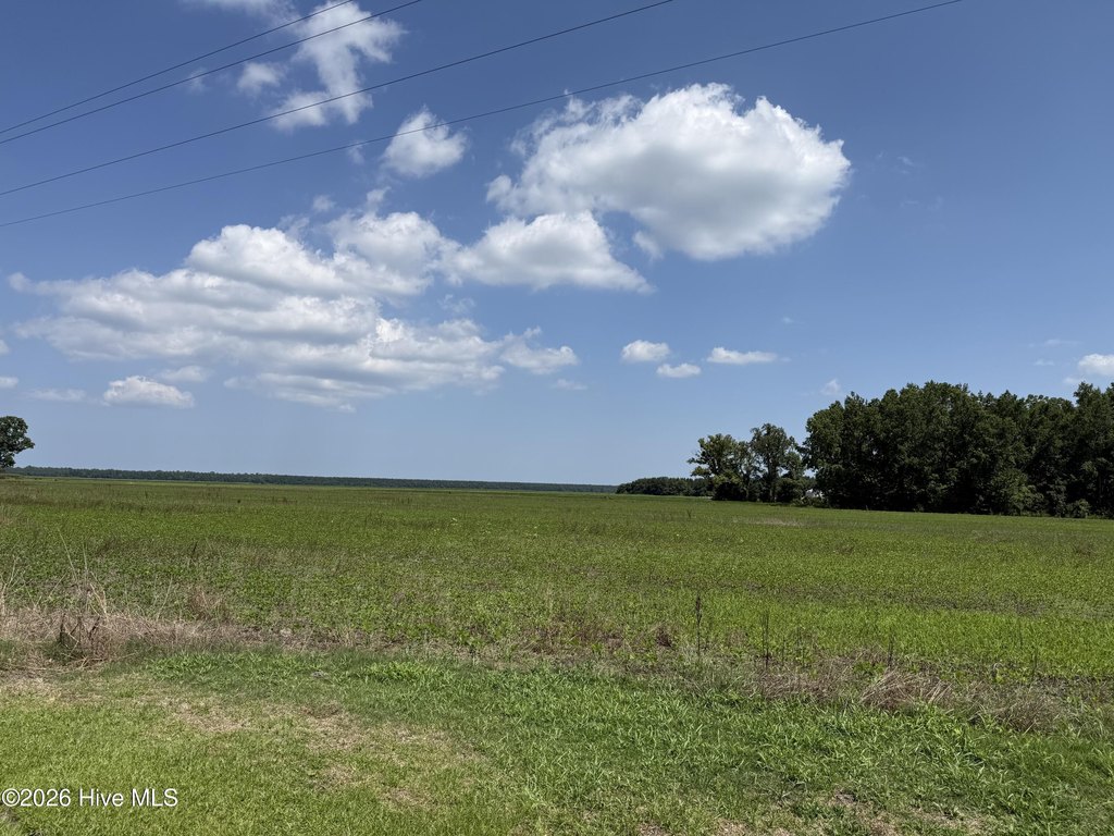 Picture 54