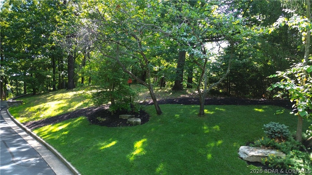Picture 5