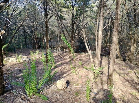 Residential Development Lot with Creek