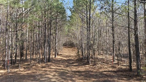 LAND - Columbia, SC