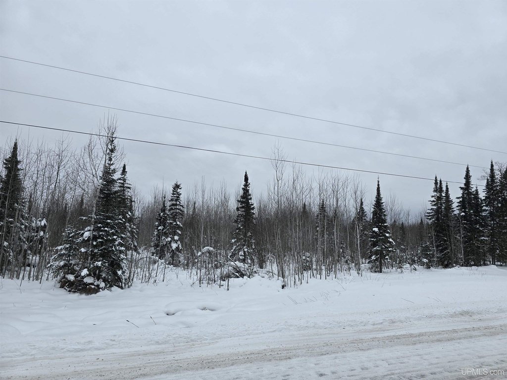 Picture 2