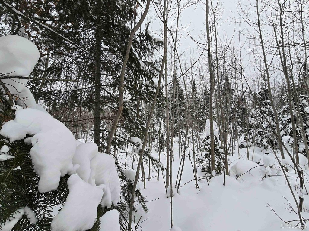 Picture 11