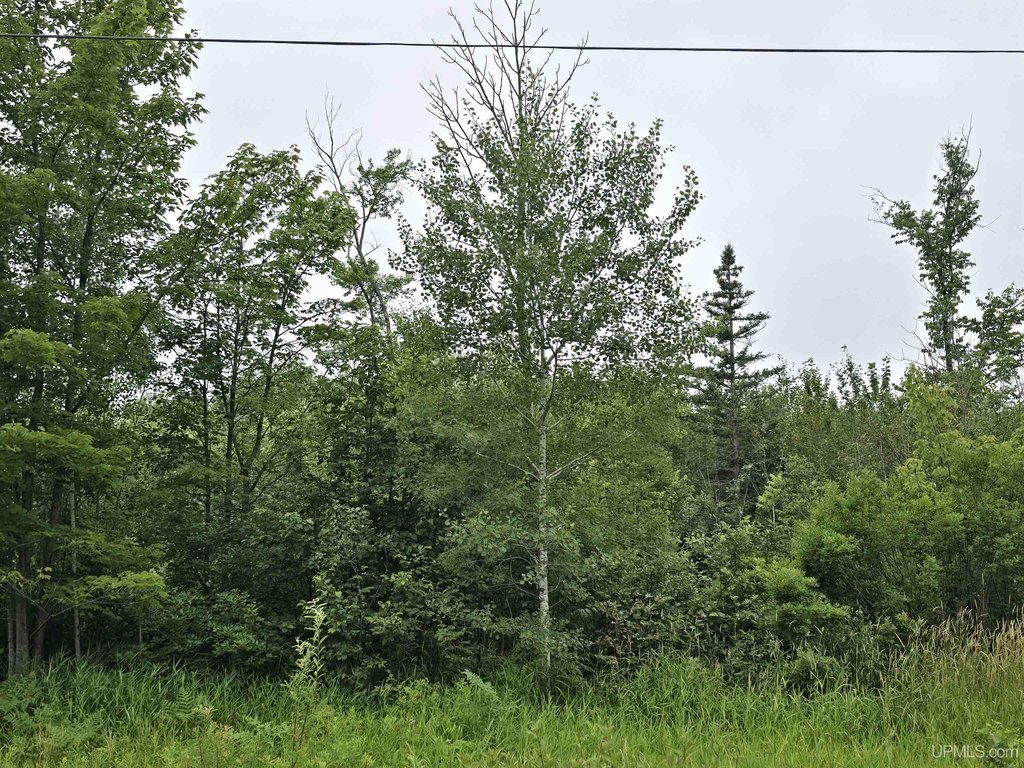 Picture 20