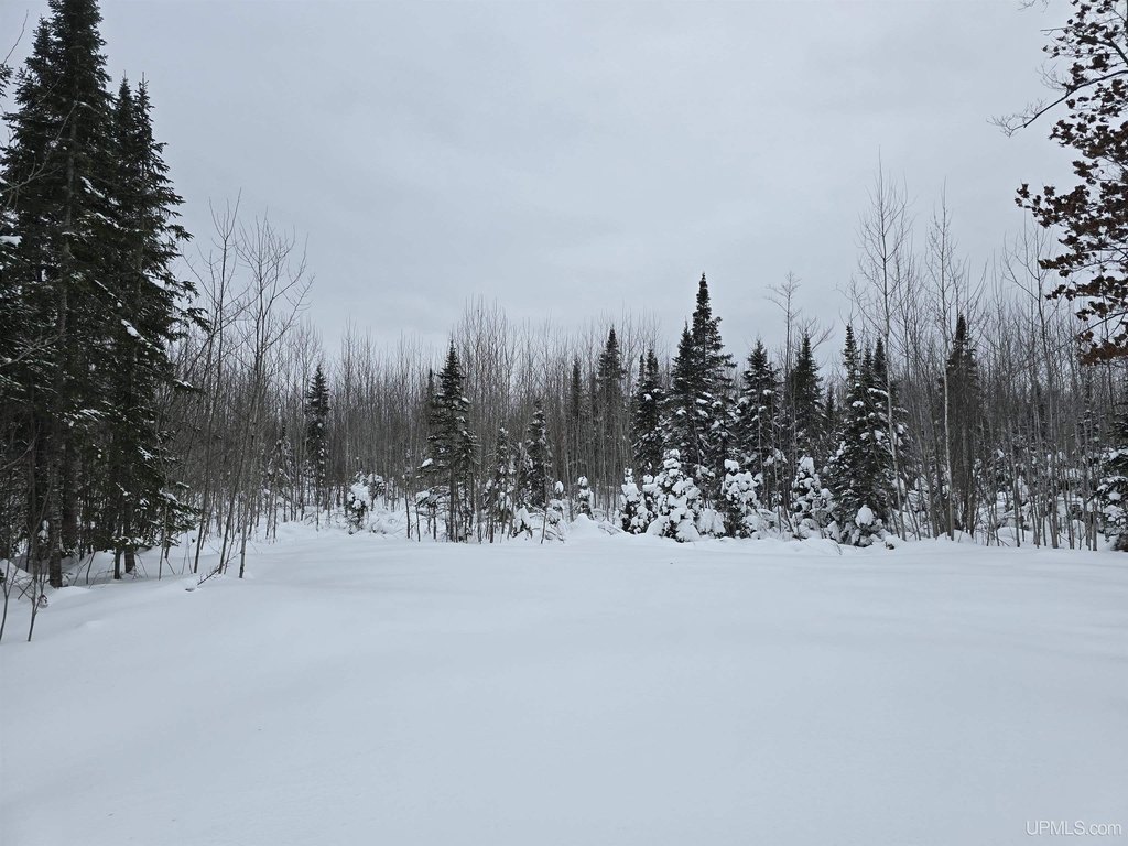 Picture 6