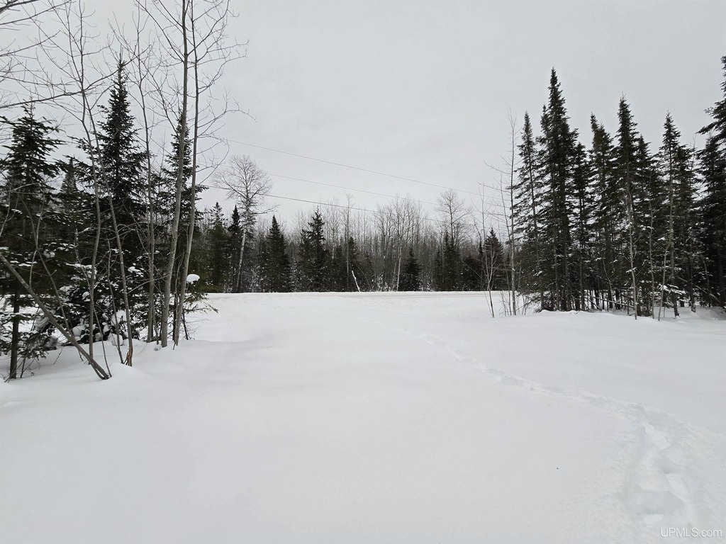Picture 5