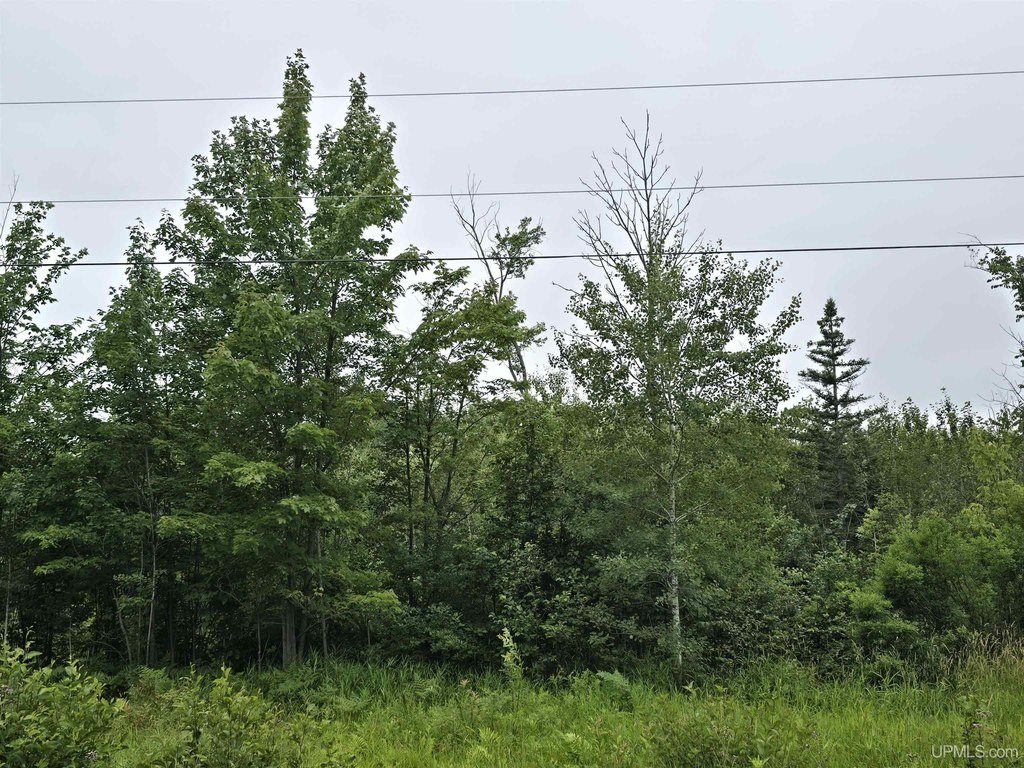 Picture 21