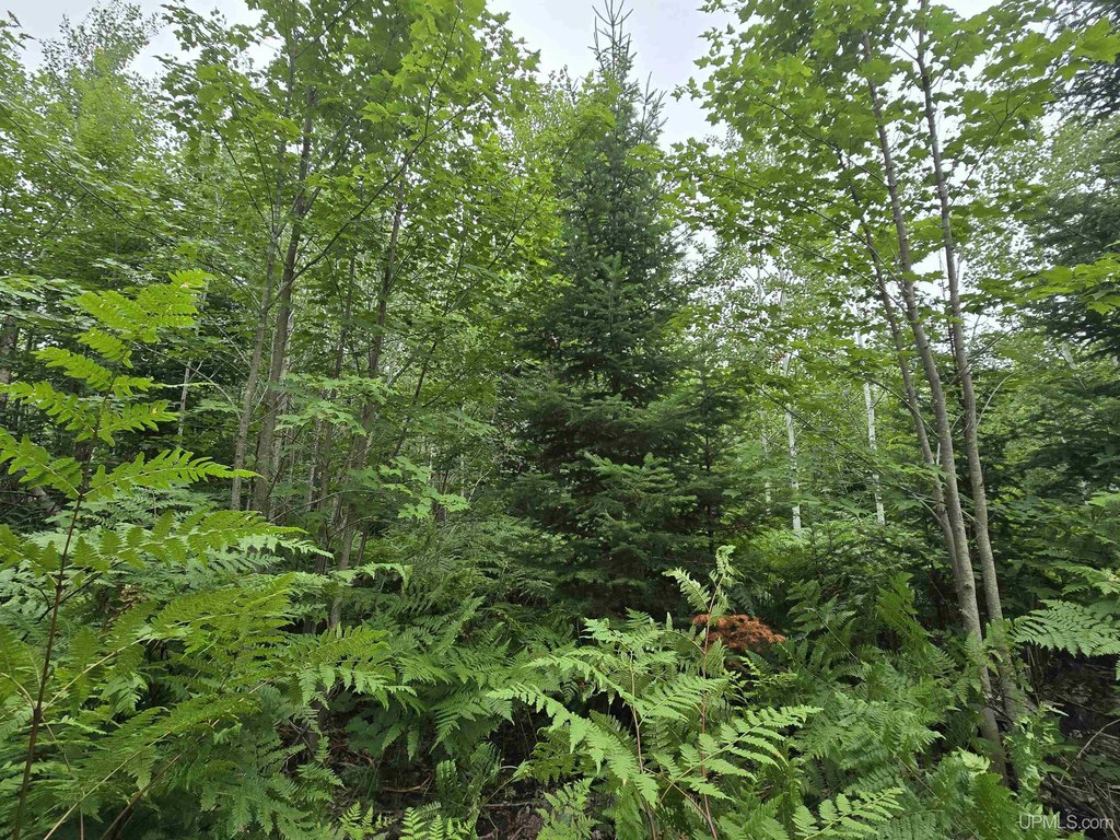 Picture 18