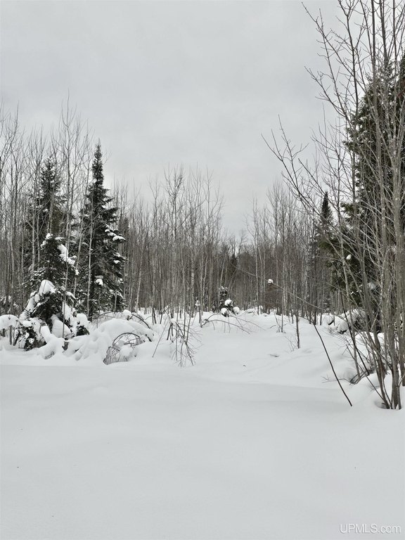 Picture 8