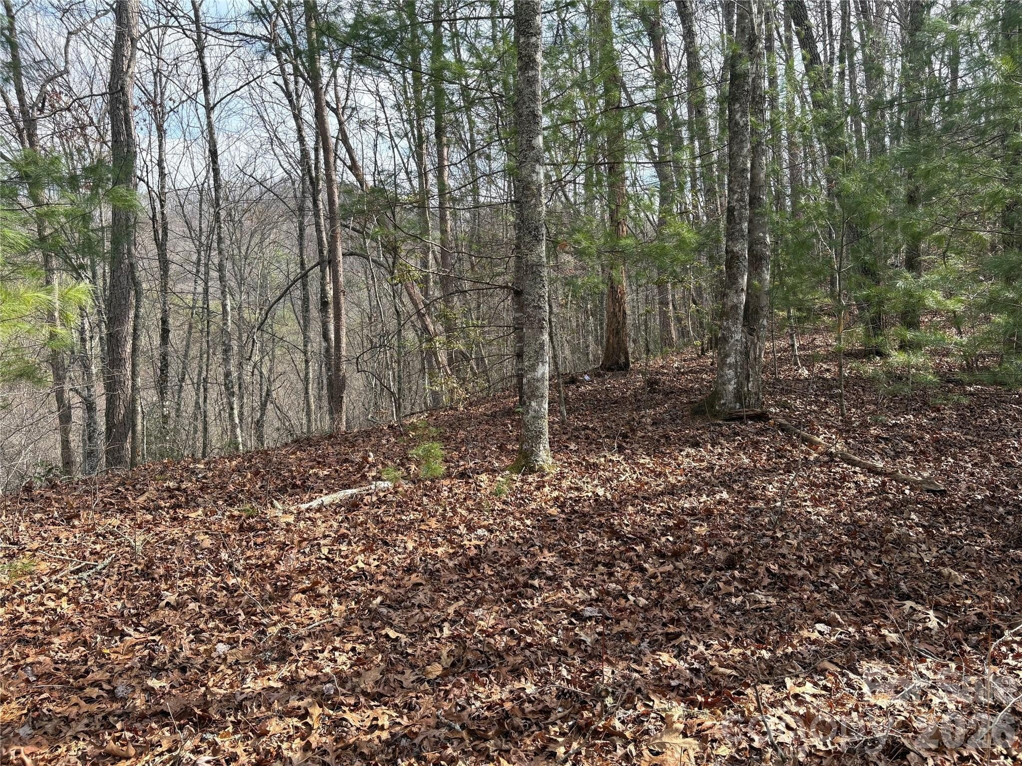 Land with Mountain Views