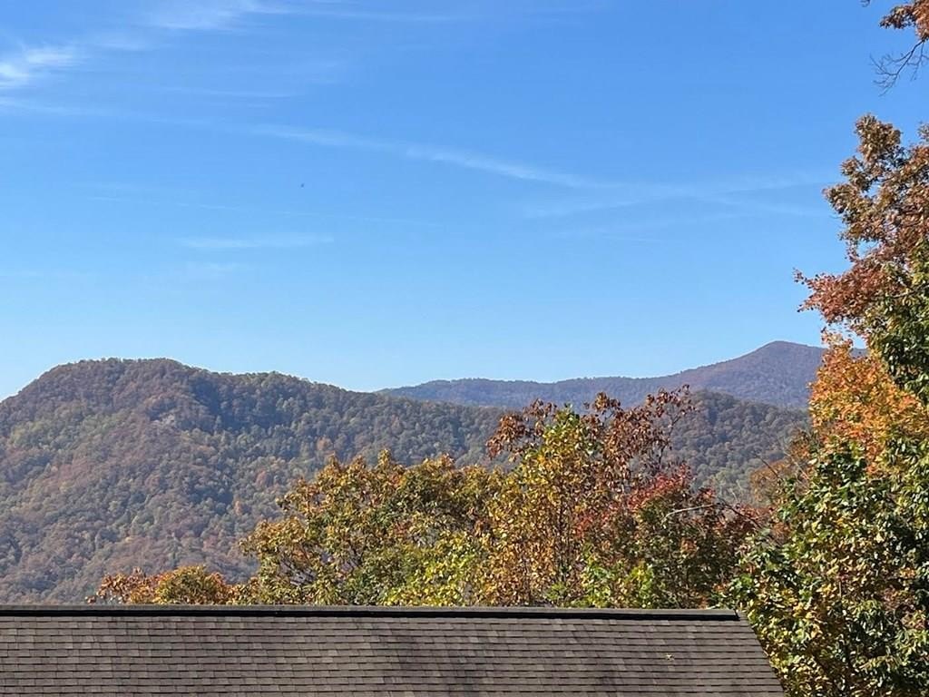 Hiawassee Vacant Lot Bordered by USFS