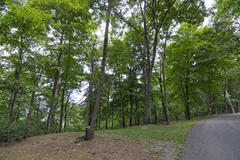 Land in Gated Mountain Community
