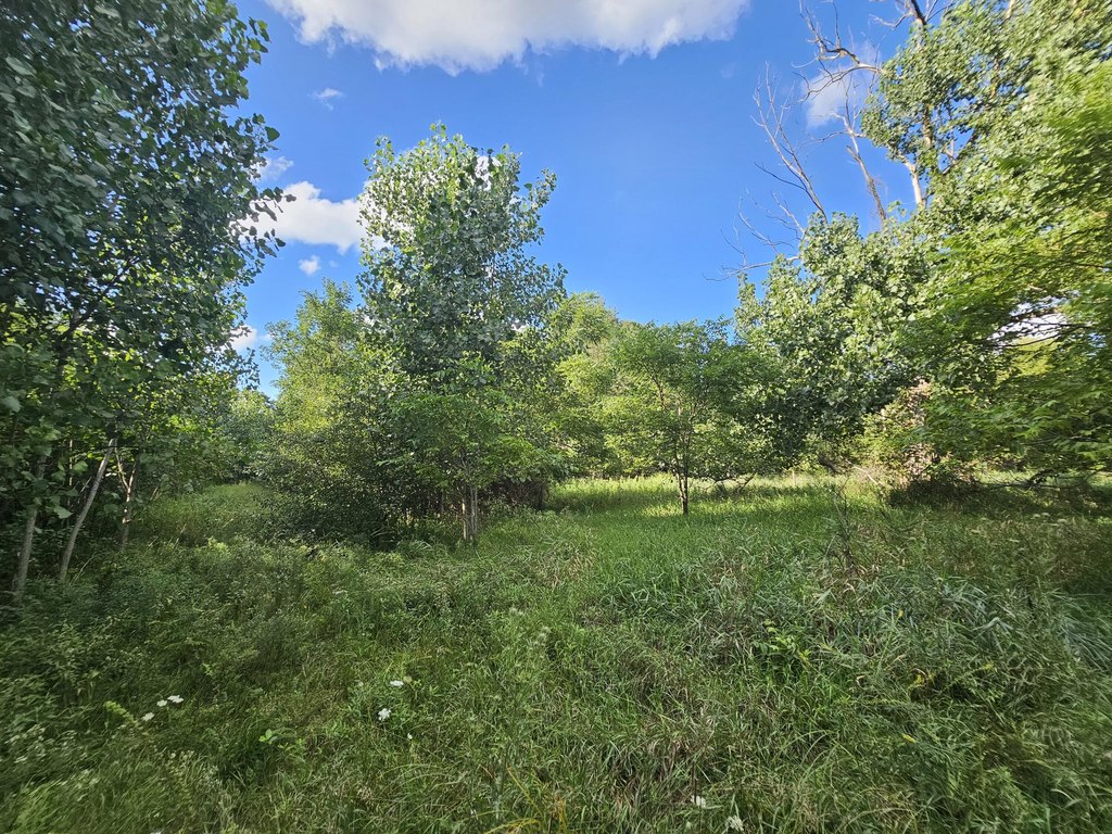 Picture 25