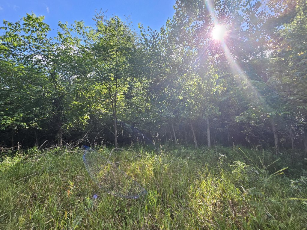 Picture 17