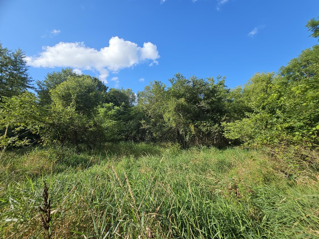 Picture 29