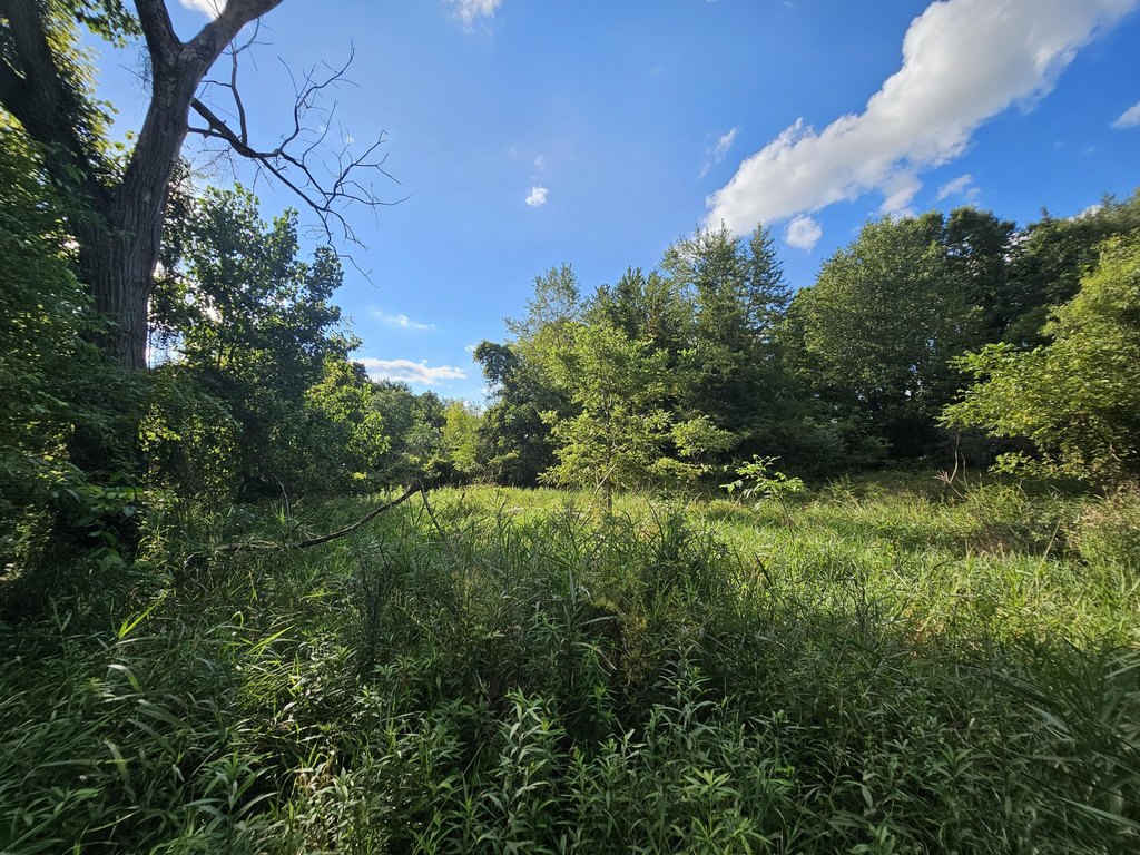 Picture 28