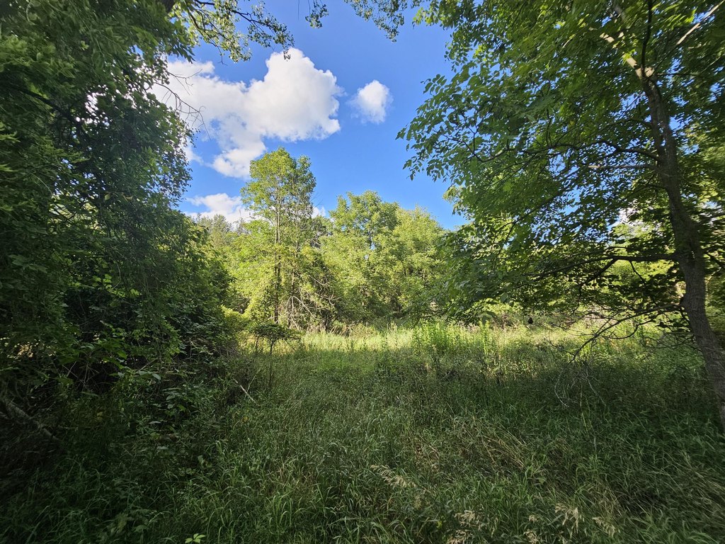 Picture 31
