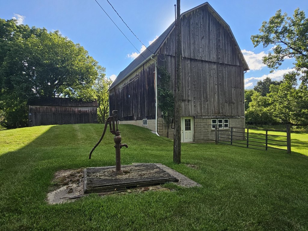 Picture 11