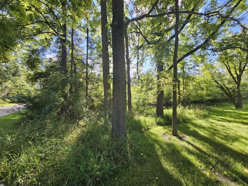 Picture 21