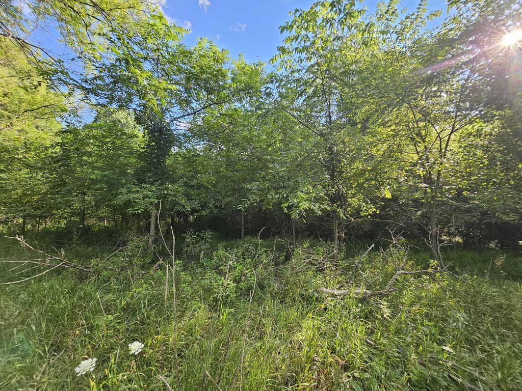 Picture 23