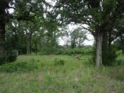 9.12 Acres Unimproved Land