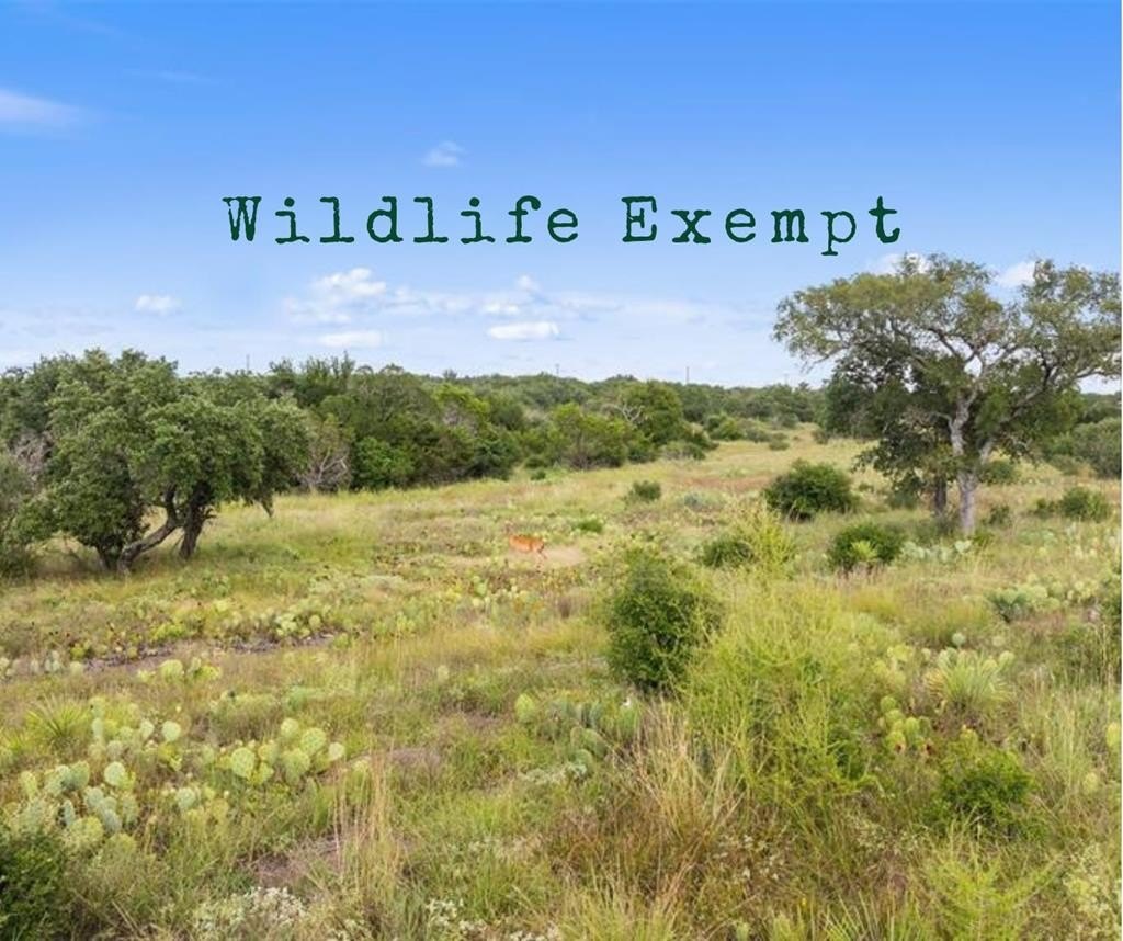 Texas Hill Country Acreage