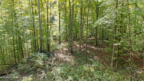 Wooded Residential Land Tract